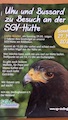 Greifvögel-Besuch an unserer SGV-Hütte