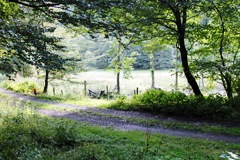 Herrlicher Höhenweg: Das Köppelchen in Reichweite und der Blick schweift schon in die Ferne.